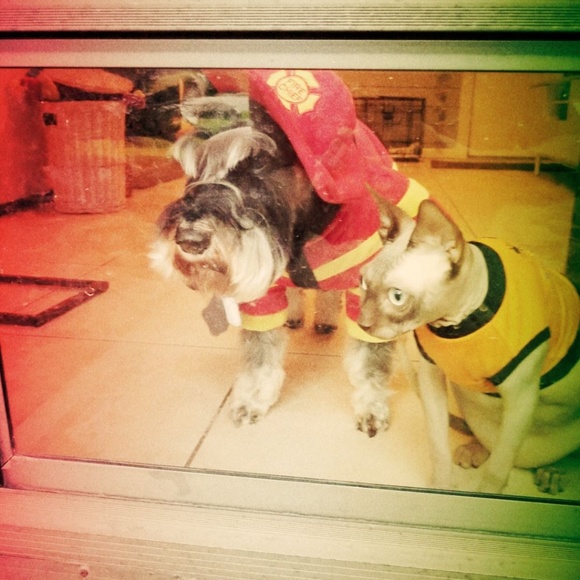 are you having your best day possible? - Picture 13 of 15